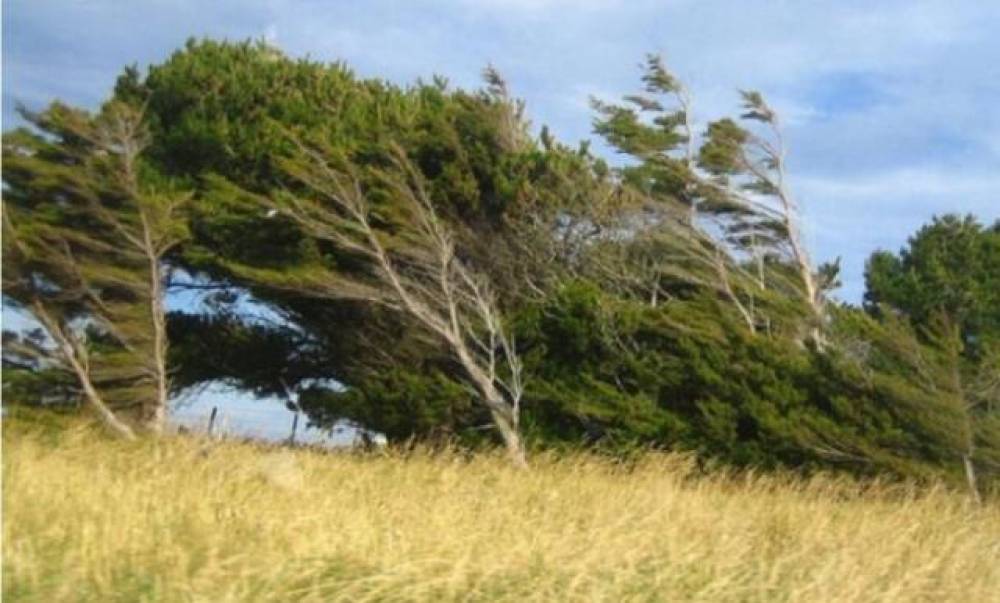 Sabahdan külək güclənəcək - Xəbərdarlıq