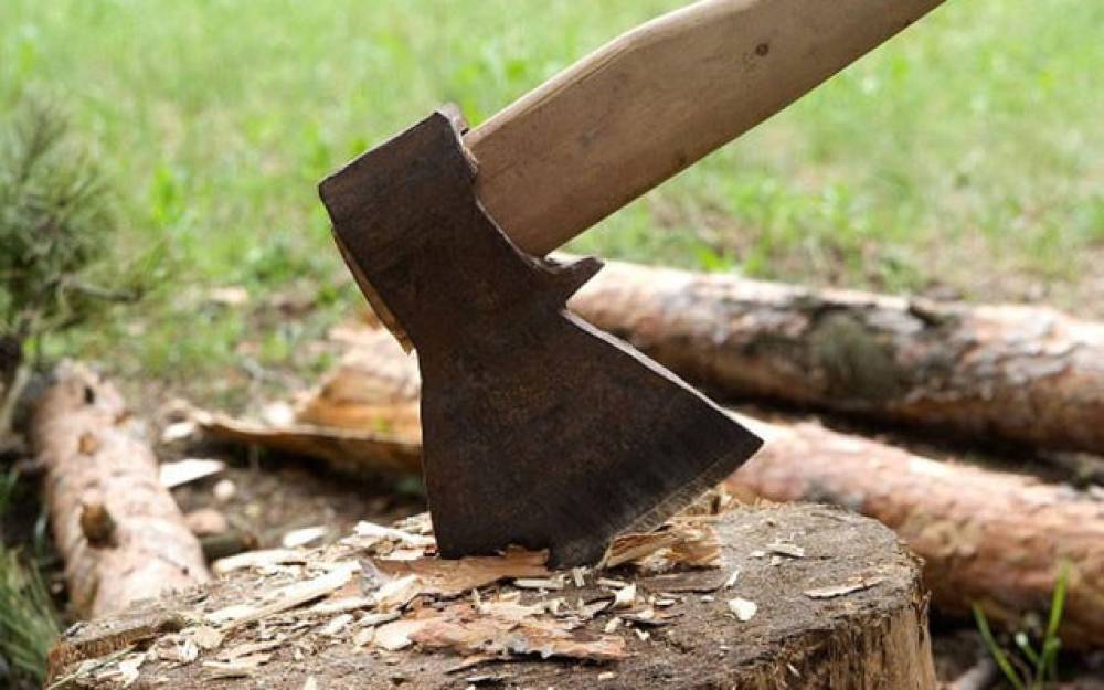 Təbiətə 133 min 140 manat ziyan vuruldu