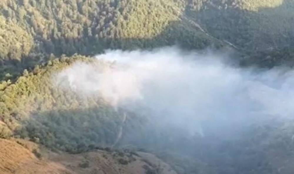 Ağstafada meşə sahəsində yanğın məhdudlaşdırıldı