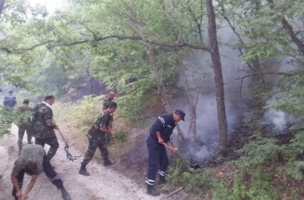 Qanunda dəyişiklik: Onları 2500 manatadək cərimə gözləyir...