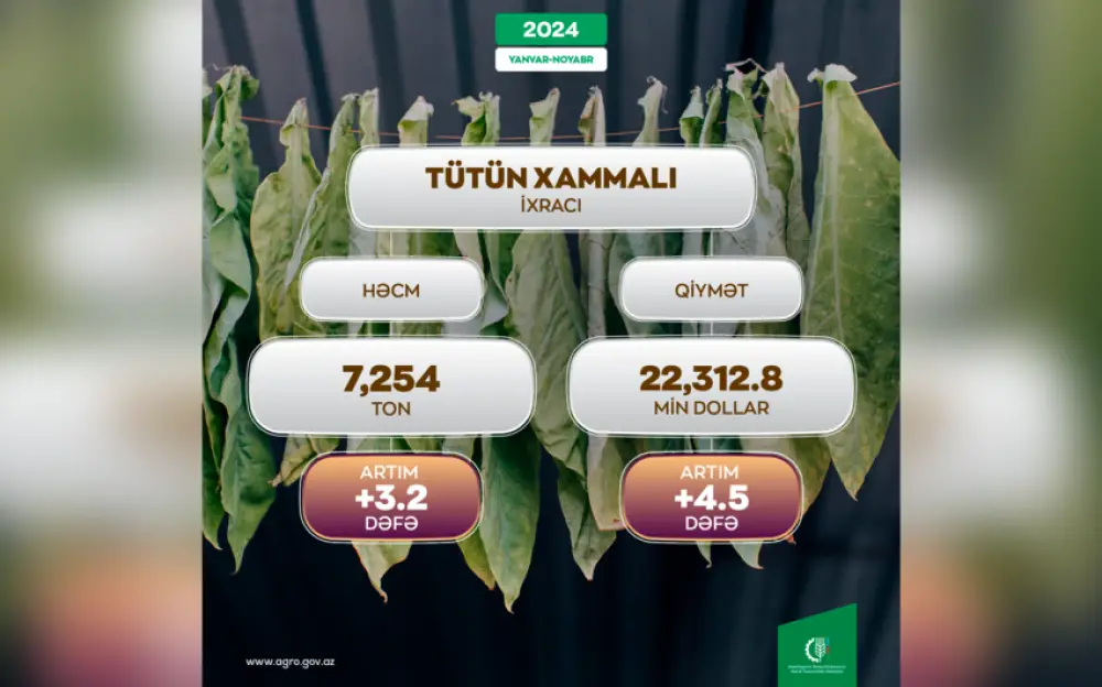 Azərbaycan tütün xammalı ixracını 4,5 dəfə artırıb