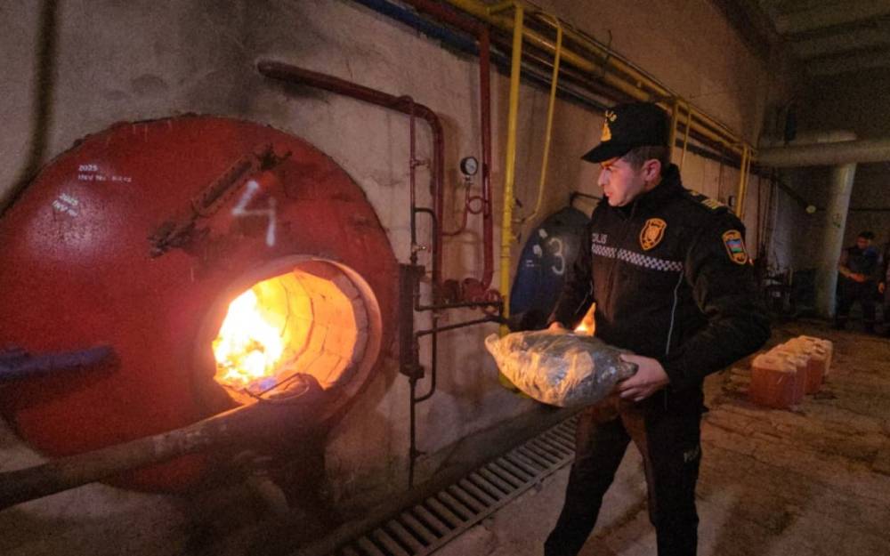 Naxçıvanda külli miqdarda narkotik vasitə məhv edilib