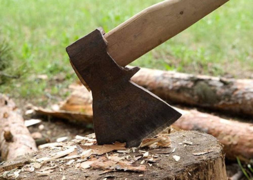 Təbiətə 36 min manatdan çox ziyan dəyib