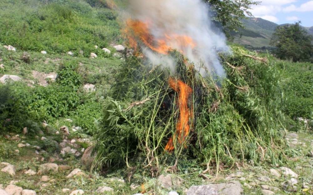 Məhkəmə qərarları ilə müsadirə olunmuş narkotik vasitələr məhv edildi