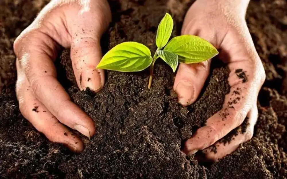 Torpaq sahəsini özbaşına tutanları bu cəza gözləyir