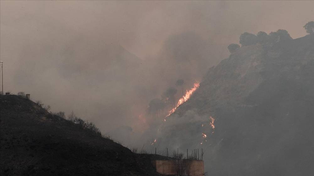 İtaliyanın Sardiniya adasında 20 fərqli yerdə meşə yanğınları baş verdi