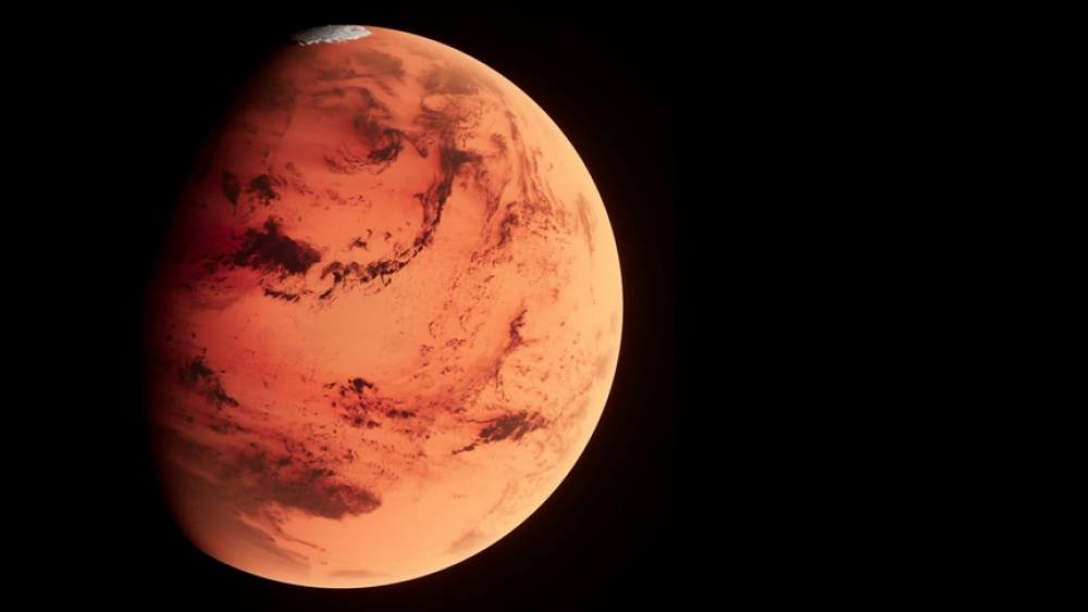 Marsdan Yerə düşən ən böyük meteorit Nyu Yorkda 5,3 milyon dollara satıldı