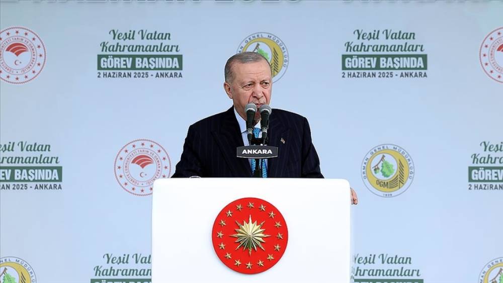 Ərdoğan: Meşə varlıqlarımızı ən güclü şəkildə qorumağa davam edəcəyik