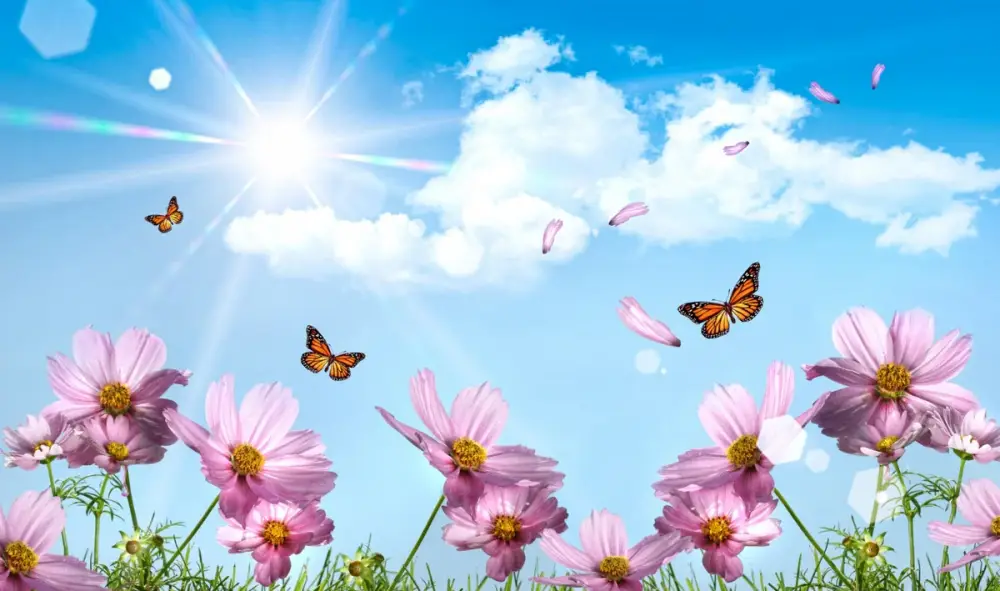 Aprelin ilk günündə Azərbaycanda 25 dərəcə isti olacaq