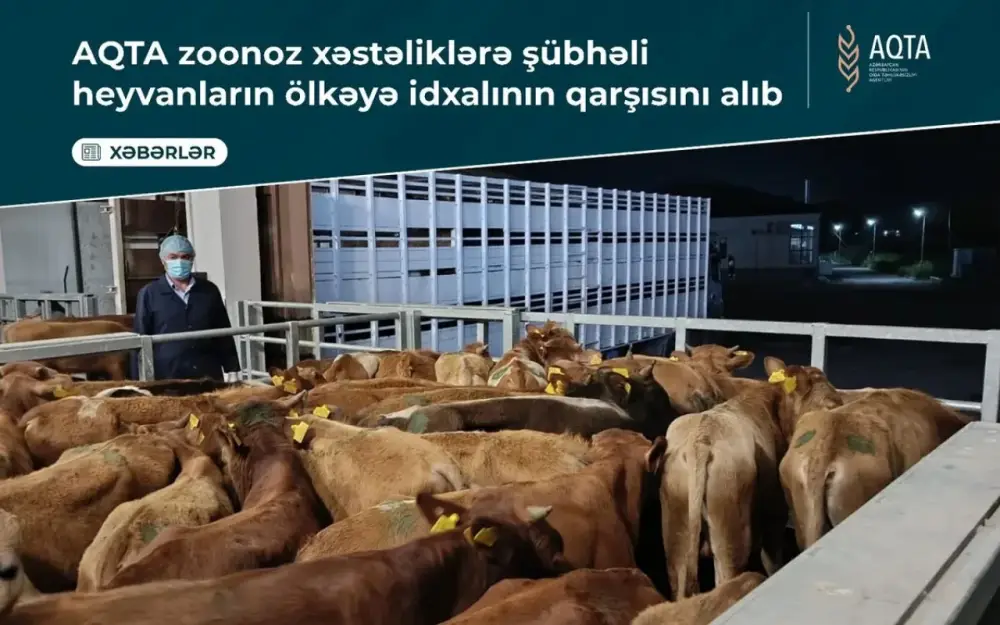 Bu heyvanların Azərbaycana idxalının qarşısı alındı