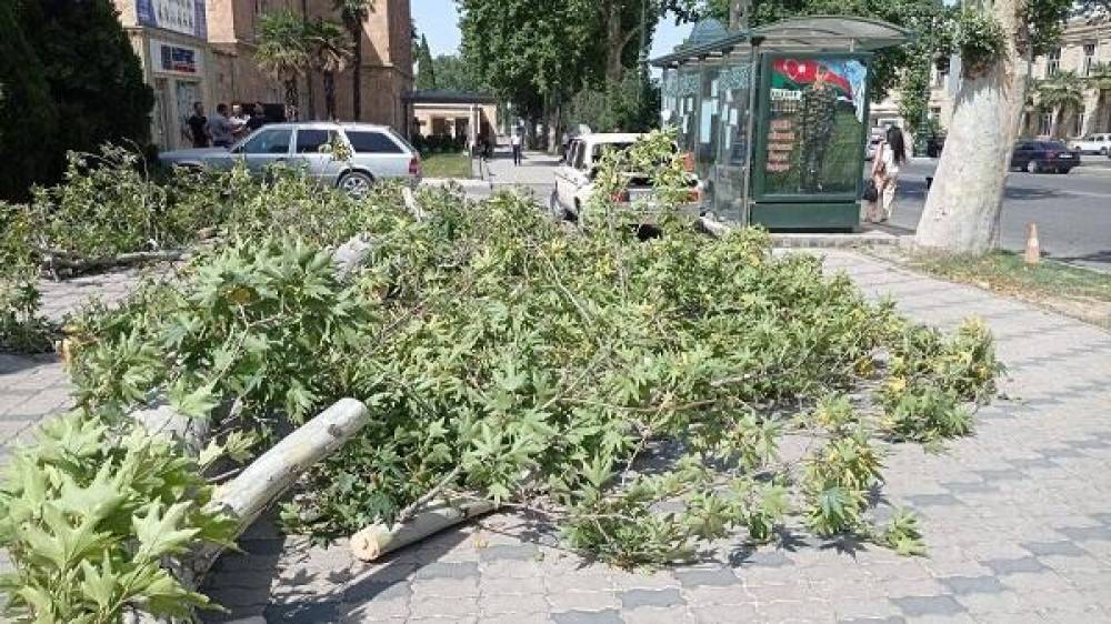 Güclü külək beşmərtəbəli binanın damını uçurdu