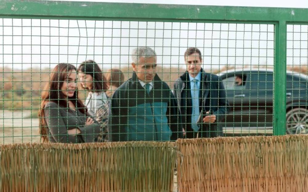 Leyla Əliyeva Mingəçevirdə ekoloji aksiyalarda - FOTOLAR