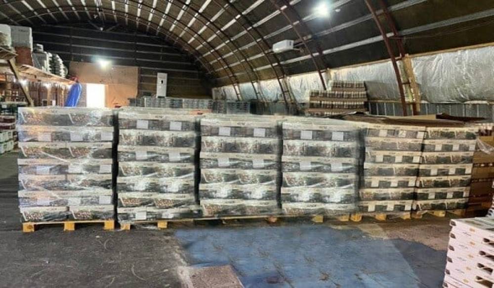 Türkiyədən gətirilən antep fıstığında uyğunsuzluq aşkarlandı