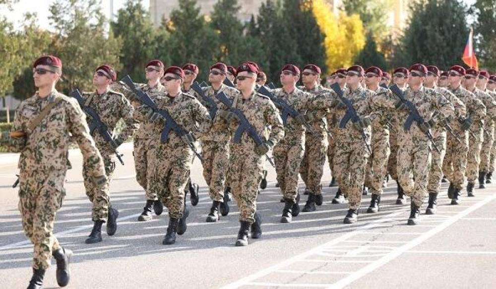 Daxili qoşunların tərkibi belə olacaq