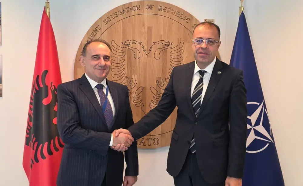 Azərbaycan və Albaniya NATO çərçivəsində əməkdaşlığı müzakirə edib