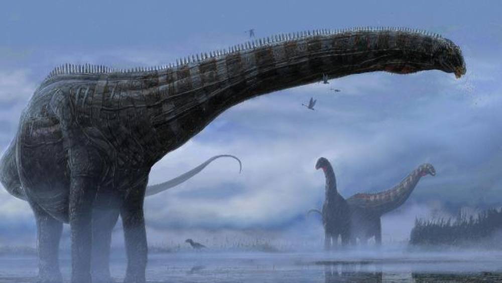 Afrikada 210 milyon illik yeni dinozavr növü kəşf edildi